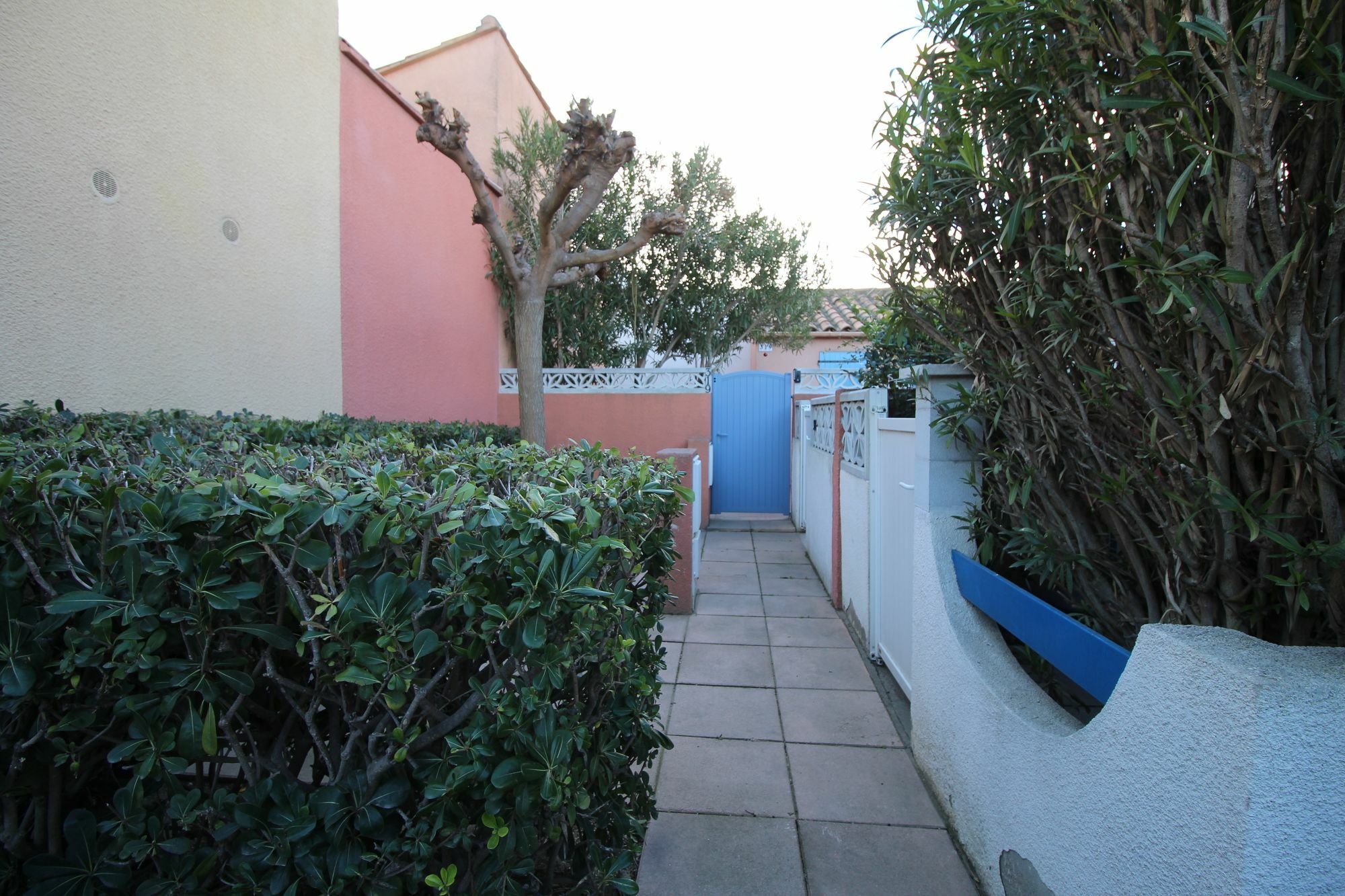 Appartement Charmant A Canet En Roussillon 36 M² Piscine Partagee المظهر الخارجي الصورة